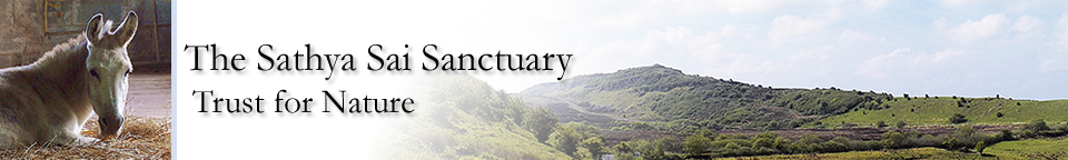 Sathya Sai Sanctuary Trust for Nature Sathya Sai Sanctuary Header