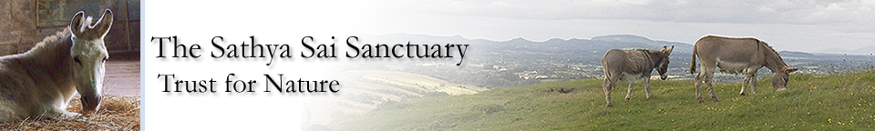 Sathya Sai Sanctuary Trust for Nature Sathya Sai Sanctuary Header