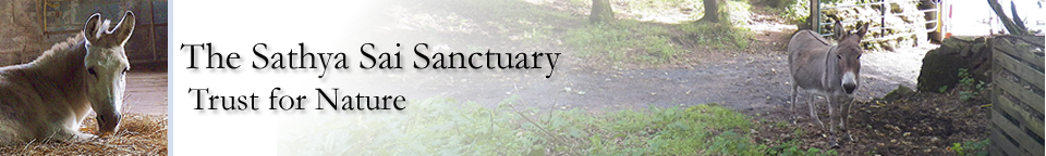 Sathya Sai Sanctuary Trust for Nature Sathya Sai Sanctuary Header