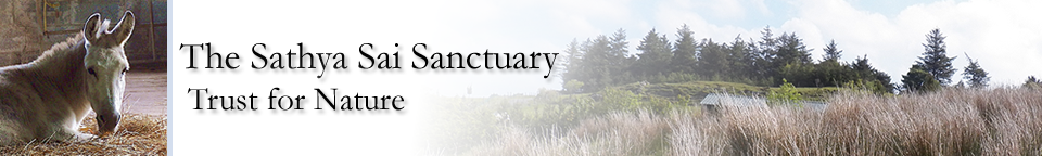Sathya Sai Sanctuary Trust for Nature Sathya Sai Sanctuary Header