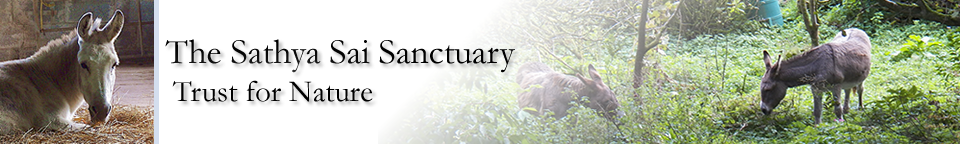 Sathya Sai Sanctuary Trust for Nature Sathya Sai Sanctuary Header