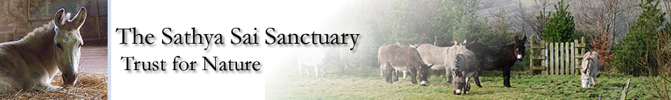 Sathya Sai Sanctuary Trust for Nature Sathya Sai Sanctuary Header