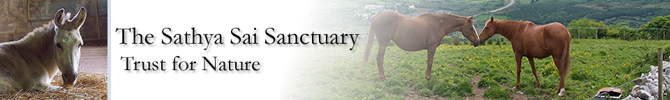 Sathya Sai Sanctuary Trust for Nature Sathya Sai Sanctuary Header