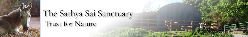 Sathya Sai Sanctuary Trust for Nature Sathya Sai Sanctuary Header