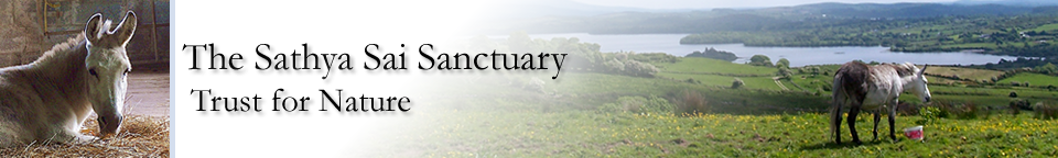 Sathya Sai Sanctuary Trust for Nature Sathya Sai Sanctuary Header