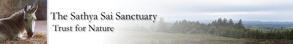 Sathya Sai Sanctuary Trust for Nature Sathya Sai Sanctuary Header