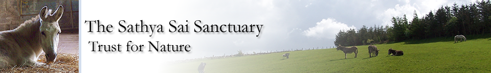 Sathya Sai Sanctuary Trust for Nature Sathya Sai Sanctuary Header
