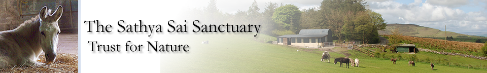 Sathya Sai Sanctuary Trust for Nature Sathya Sai Sanctuary Header
