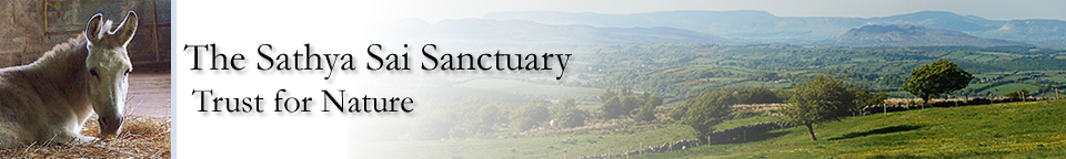 Sathya Sai Sanctuary Trust for Nature Sathya Sai Sanctuary Header