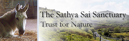 Sathya Sai Sanctuary Trust for Nature Sathya Sai Sanctuary Header