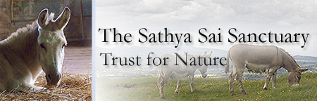 Sathya Sai Sanctuary Trust for Nature Sathya Sai Sanctuary Header