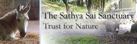 Sathya Sai Sanctuary Trust for Nature Sathya Sai Sanctuary Header