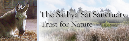Sathya Sai Sanctuary Trust for Nature Sathya Sai Sanctuary Header