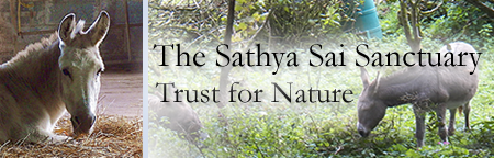 Sathya Sai Sanctuary Trust for Nature Sathya Sai Sanctuary Header