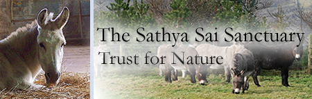 Sathya Sai Sanctuary Trust for Nature Sathya Sai Sanctuary Header