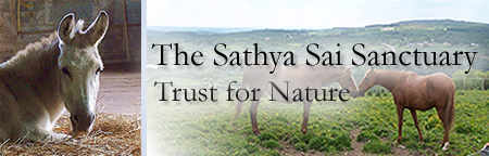 Sathya Sai Sanctuary Trust for Nature Sathya Sai Sanctuary Header