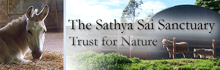 Sathya Sai Sanctuary Trust for Nature Sathya Sai Sanctuary Header