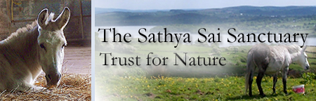 Sathya Sai Sanctuary Trust for Nature Sathya Sai Sanctuary Header