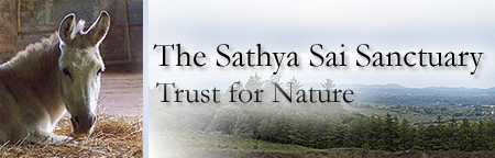 Sathya Sai Sanctuary Trust for Nature Sathya Sai Sanctuary Header