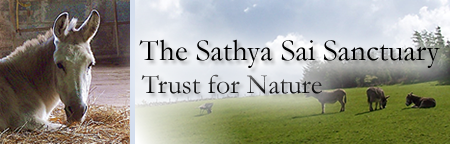 Sathya Sai Sanctuary Trust for Nature Sathya Sai Sanctuary Header
