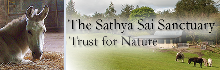 Sathya Sai Sanctuary Trust for Nature Sathya Sai Sanctuary Header