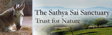 Sathya Sai Sanctuary Trust for Nature Sathya Sai Sanctuary Header