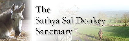 Sathya Sai Sanctuary Header